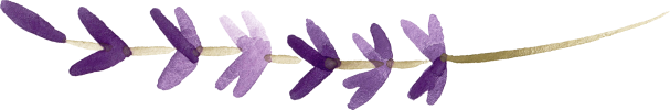 mini_lavender 2